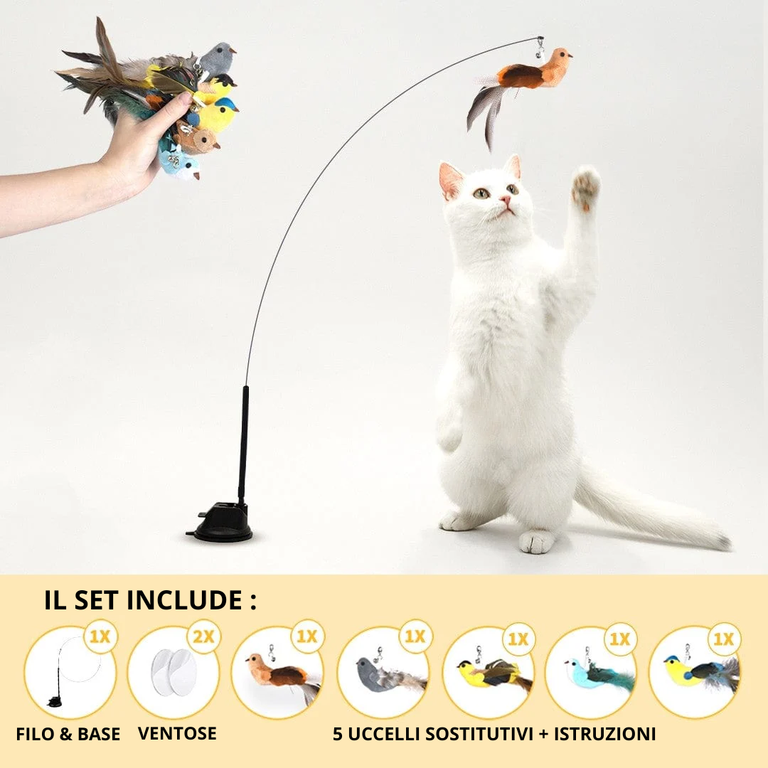 CatFlyer - Set Completo Gioco Interattivo