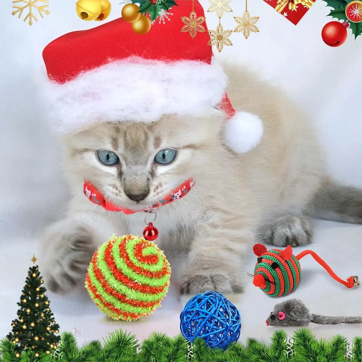 🐈 Kitty Calendario dell'Avvento - Edizione Limitata Inverno 2025 🎄