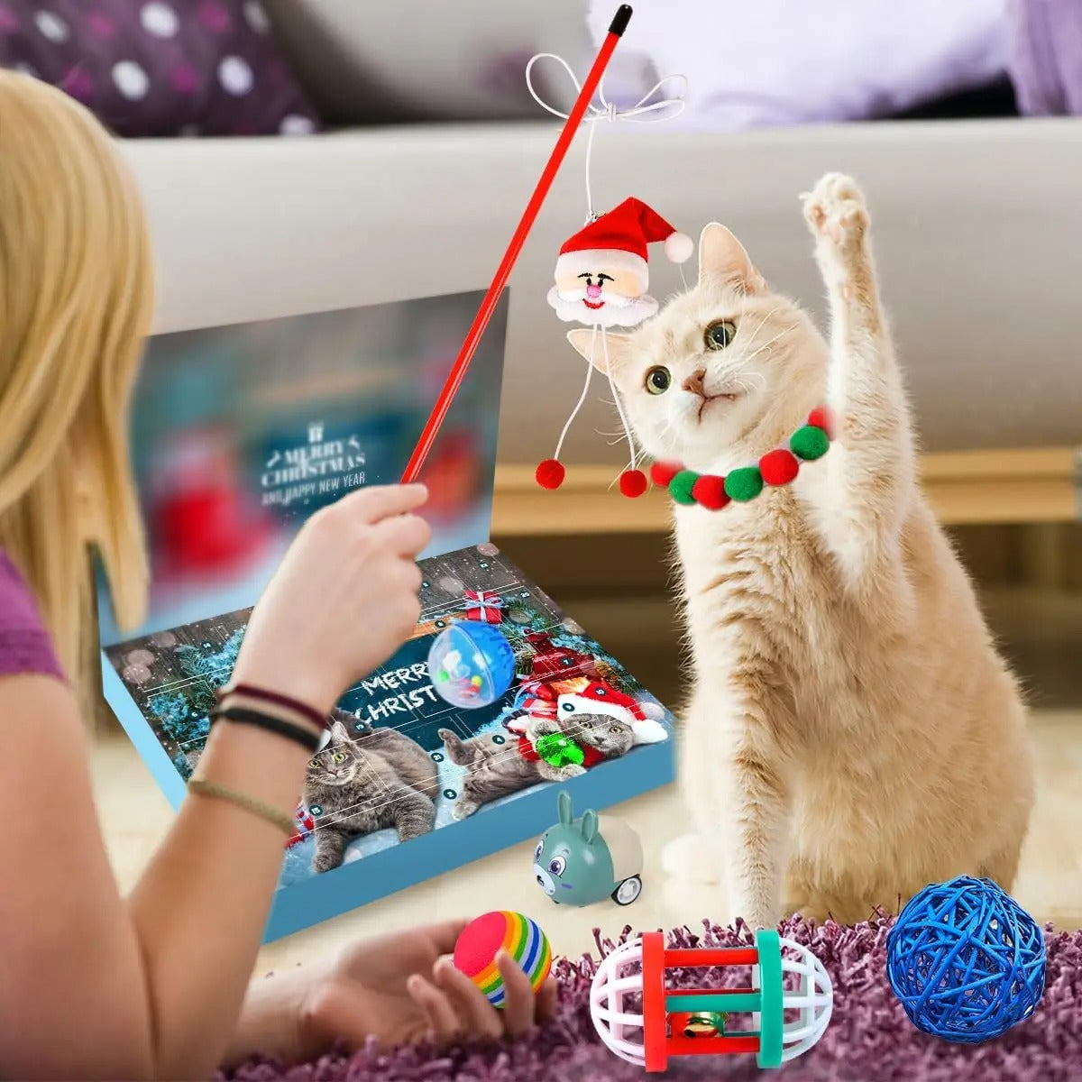 🐈 Kitty Calendario dell'Avvento - Edizione Limitata Inverno 2025 🎄
