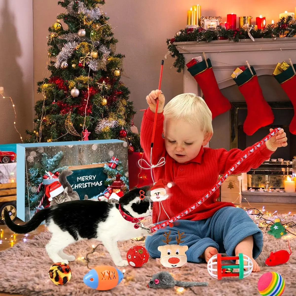 🐈 Kitty Calendario dell'Avvento - Edizione Limitata Inverno 2025 🎄